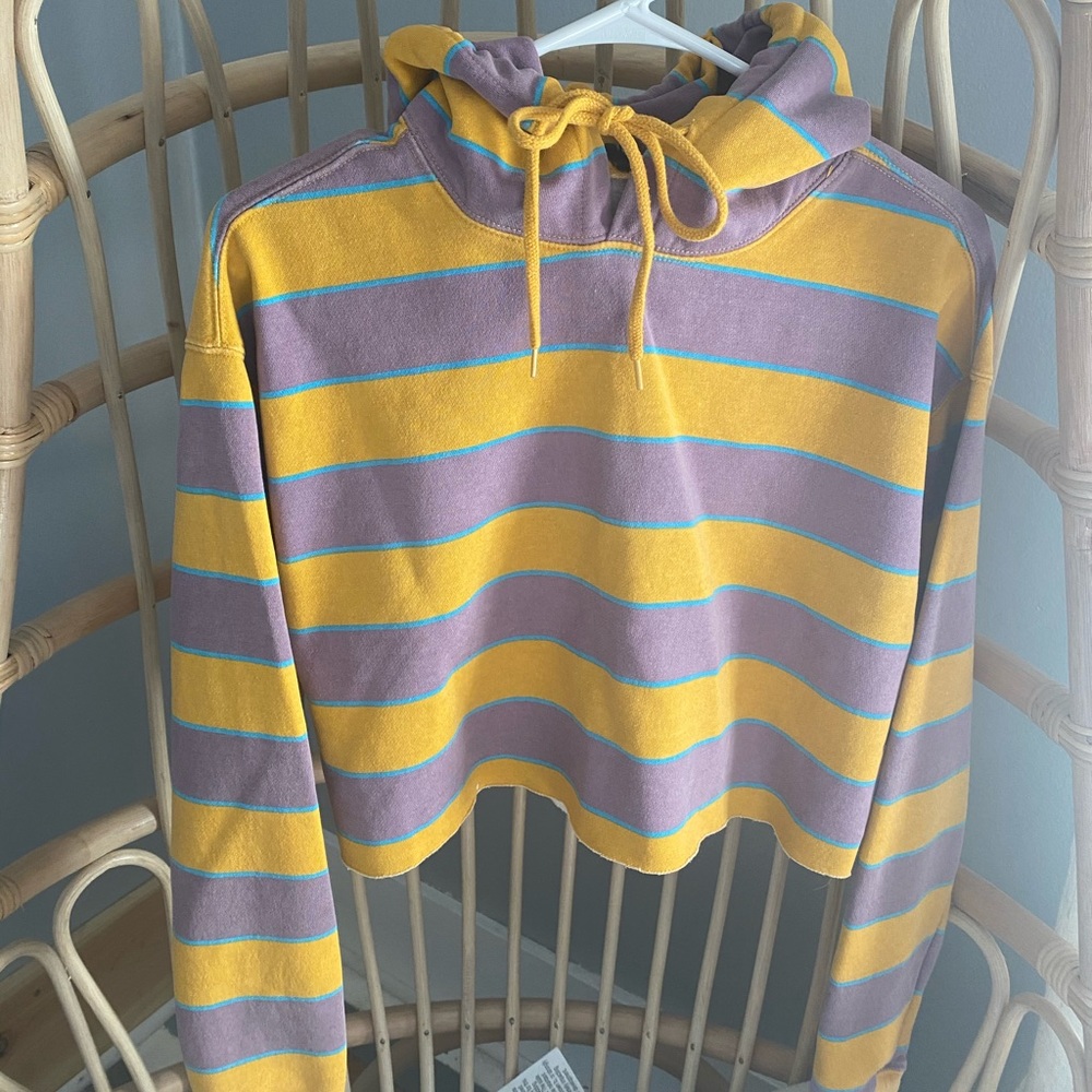 Urban Outfitters Cropped Hoodie